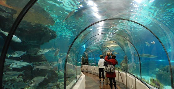 L`Aquarium, Barcelona. Espanha