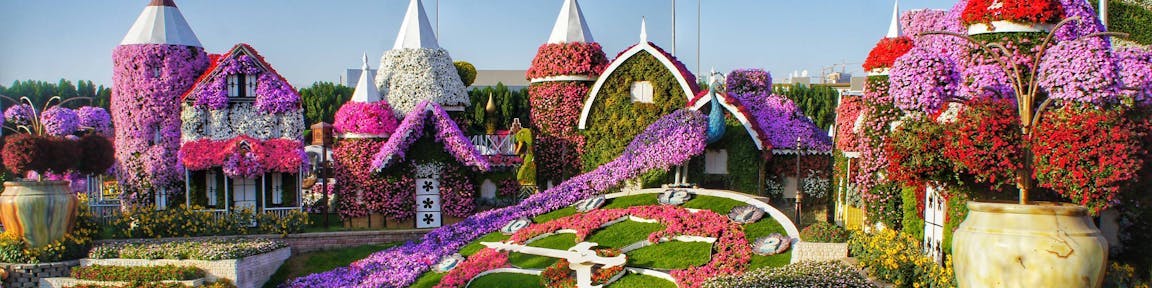 Dubai Miracle Garden, Dubai Emirados Árabes 