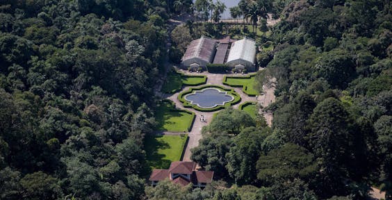 Jardim Botânico, São Paulo. Brasil