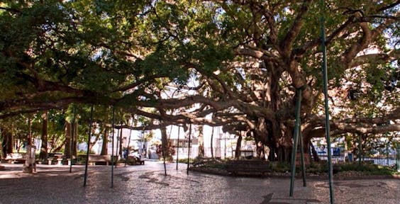 Praça XV de Novembro, Florianópolis Brasil