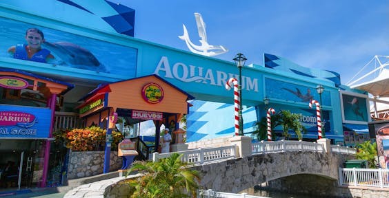 Interactive Aquarium Cancún, Cancún México